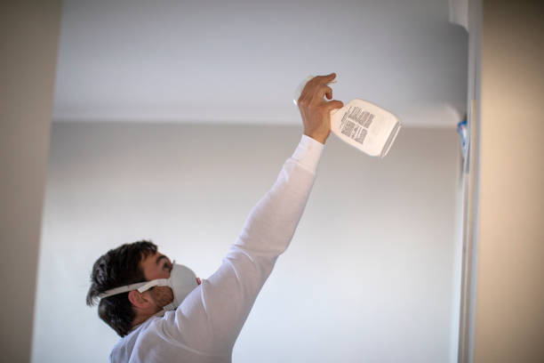 Best Office Mold Removal Services  in Whitestown, IN