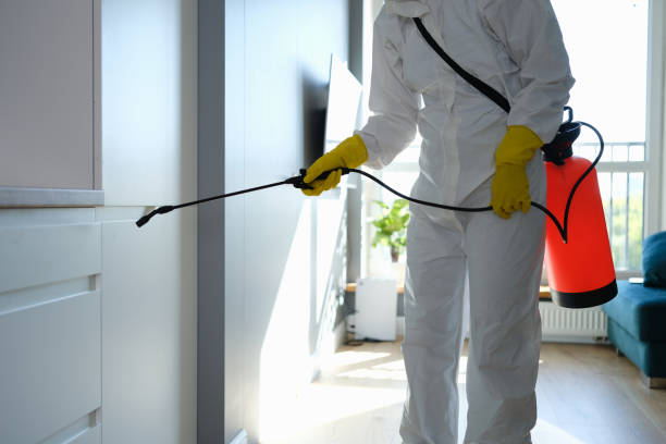 Best Commercial Mold Removal  in Whitestown, IN